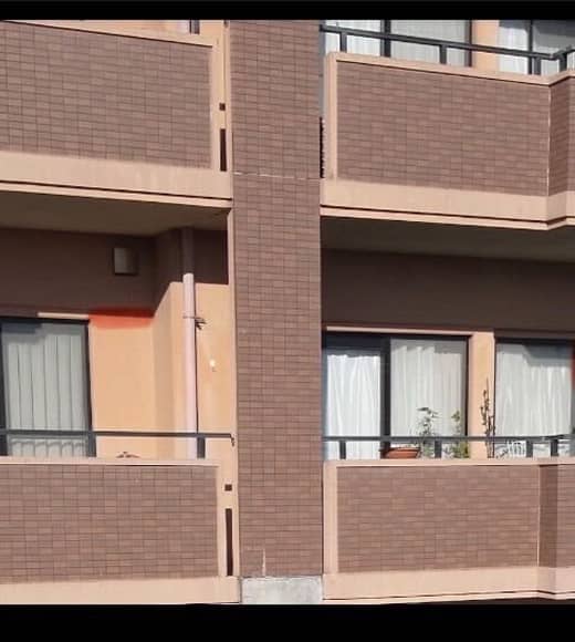 可視画像